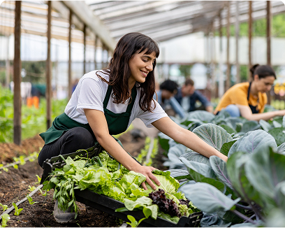 Quadrafort corporate social responsibility